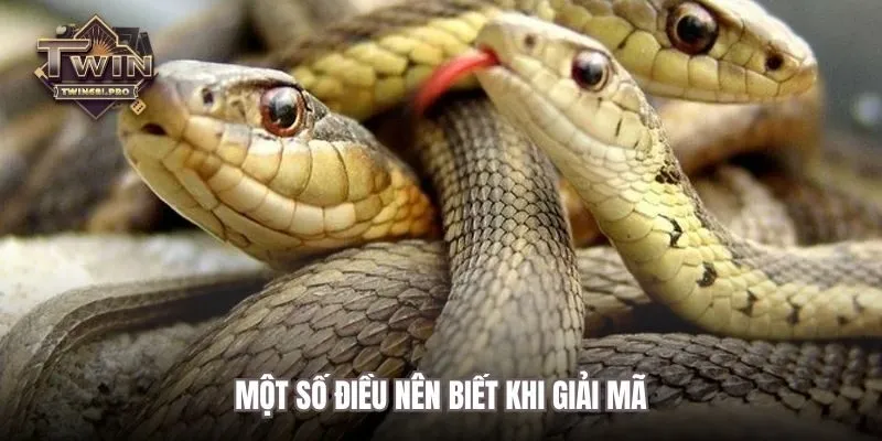Một số điều nên biết khi giải mã