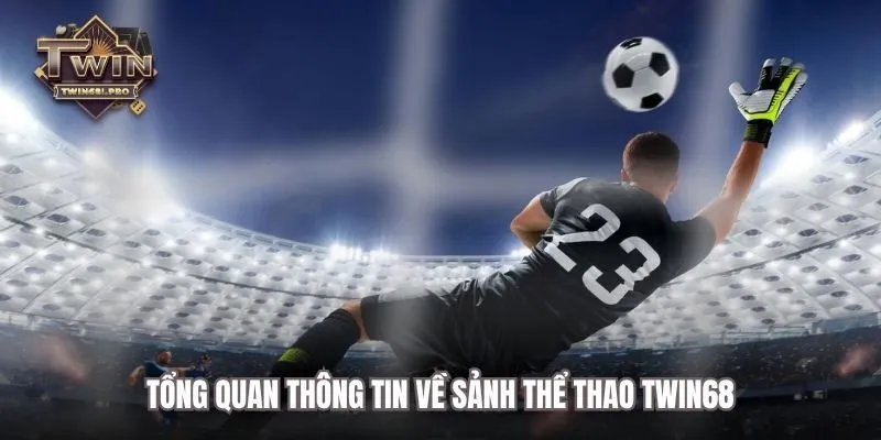 Tổng quan thông tin về sảnh thể thao TWIN68